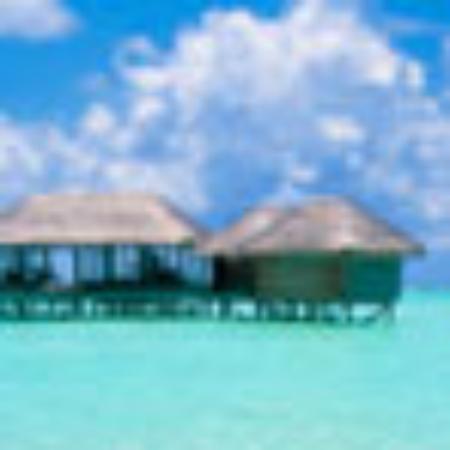 Juice Junction Food Court